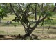 14 Queen Street, Dallarnil QLD 4621