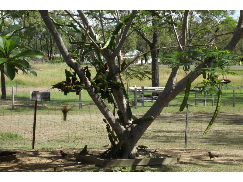 14 Queen Street, Dallarnil QLD 4621