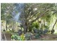 59 Postmans Crossing Road, Childers, Buxton QLD 4660