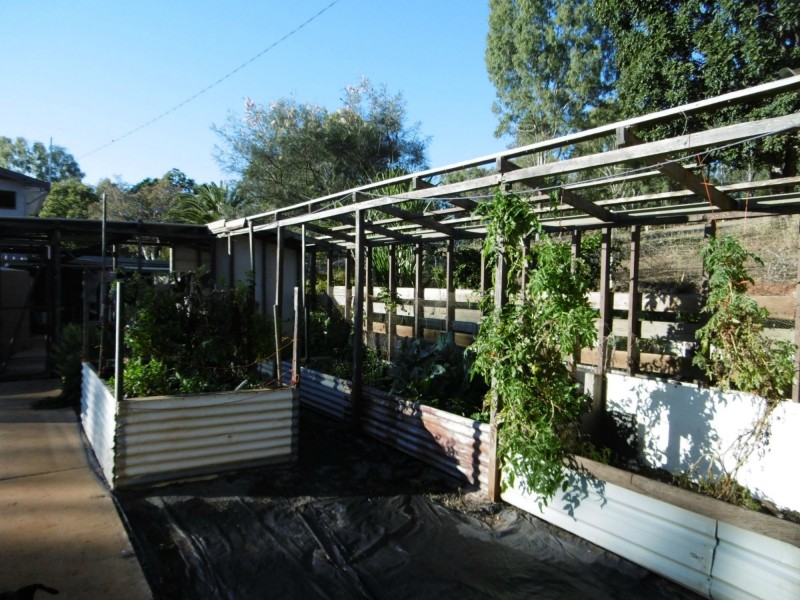32 Duguid Road, Apple Tree Creek QLD 4660