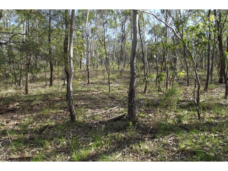 Lot 54 Isis Highway, Dallarnil QLD 4621
