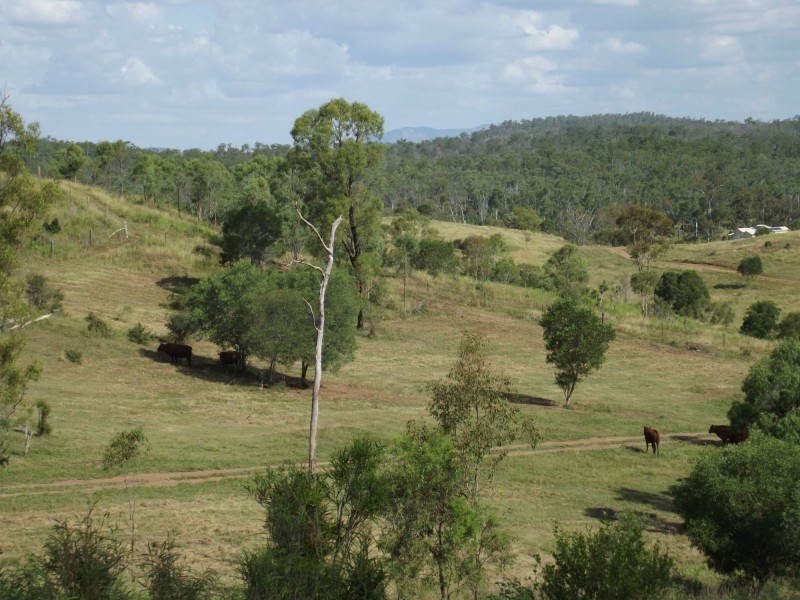 192 Tatchkes Road, Good Night QLD 4671