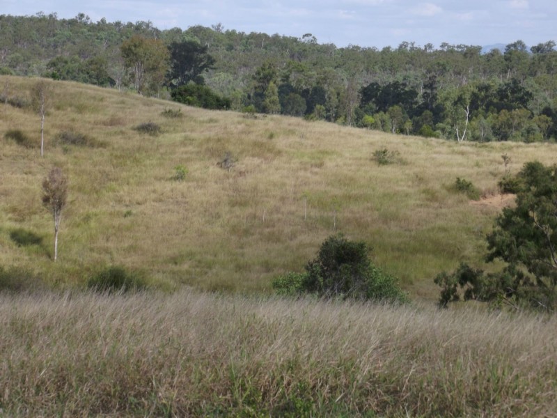 192 Tatchkes Road, Good Night QLD 4671