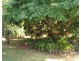 12 Elizabeth Street, Childers QLD 4660
