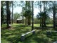 181 JARRETTS Road, Woodgate QLD 4660