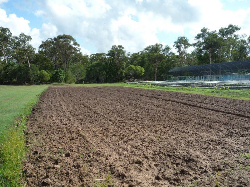 1791 Goodwood Road, Goodwood QLD 4660