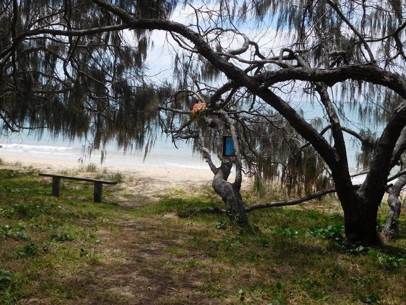 24 Beech Court, Woodgate QLD 4660