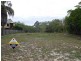54 Mackerel Street, Woodgate QLD 4660