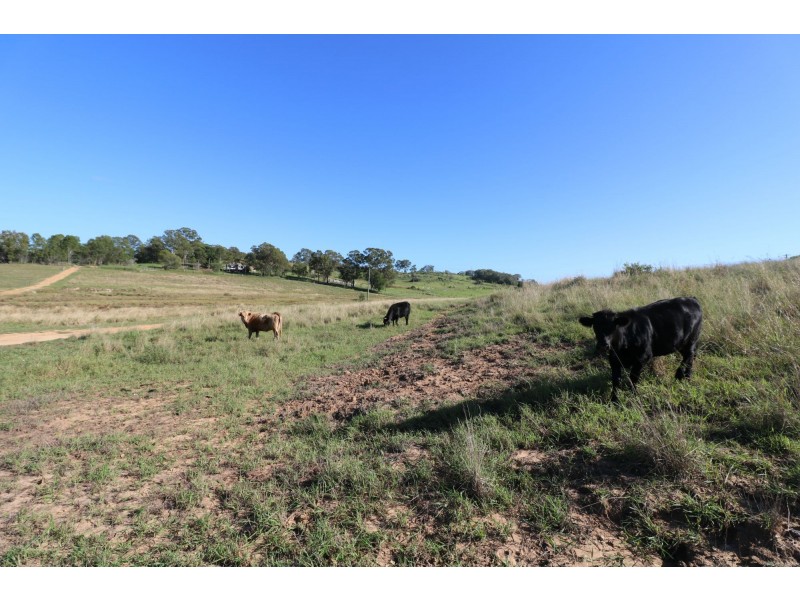 Lot 64 Clarkes Road, North Isis QLD 4660