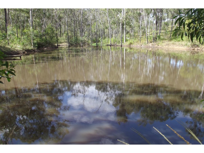 310 Mt Goonaneman Road, Dallarnil QLD 4621