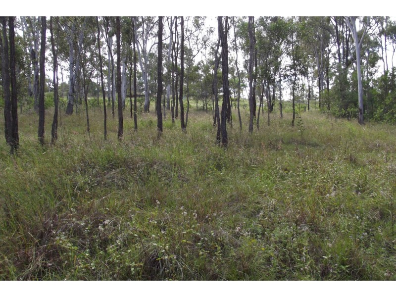 310 Mt Goonaneman Road, Dallarnil QLD 4621