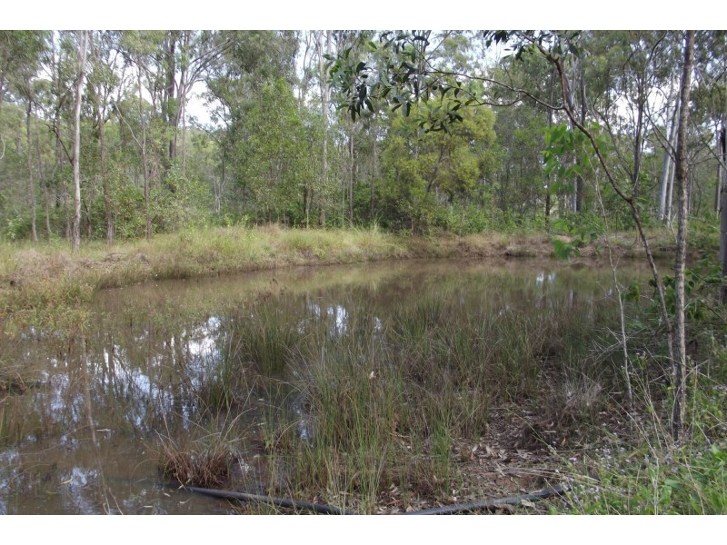 310 Mt Goonaneman Road, Dallarnil QLD 4621