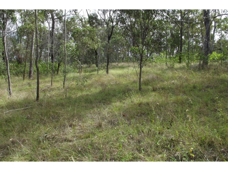 310 Mt Goonaneman Road, Dallarnil QLD 4621