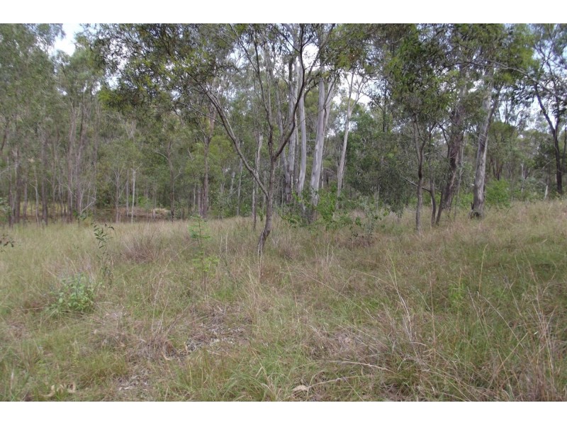 310 Mt Goonaneman Road, Dallarnil QLD 4621