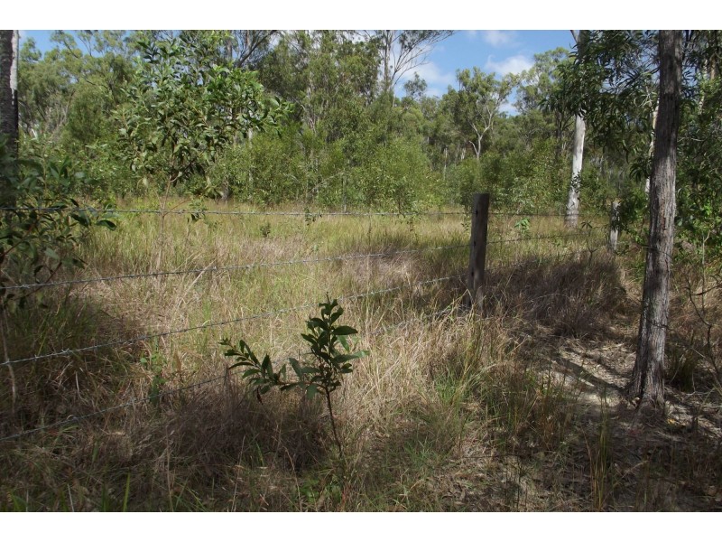 310 Mt Goonaneman Road, Dallarnil QLD 4621