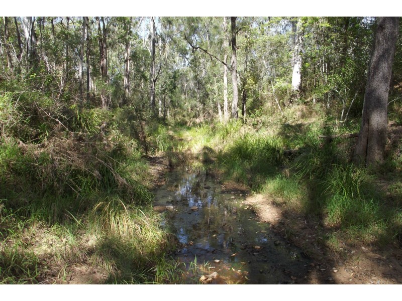 310 Mt Goonaneman Road, Dallarnil QLD 4621