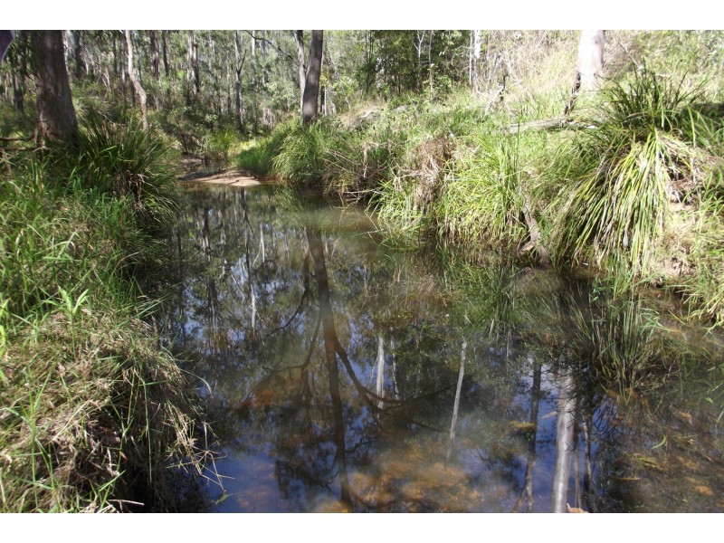 310 Mt Goonaneman Road, Dallarnil QLD 4621