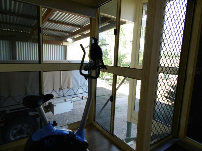 548 Gooroolba-Biggenden Road, Degilbo QLD 4621