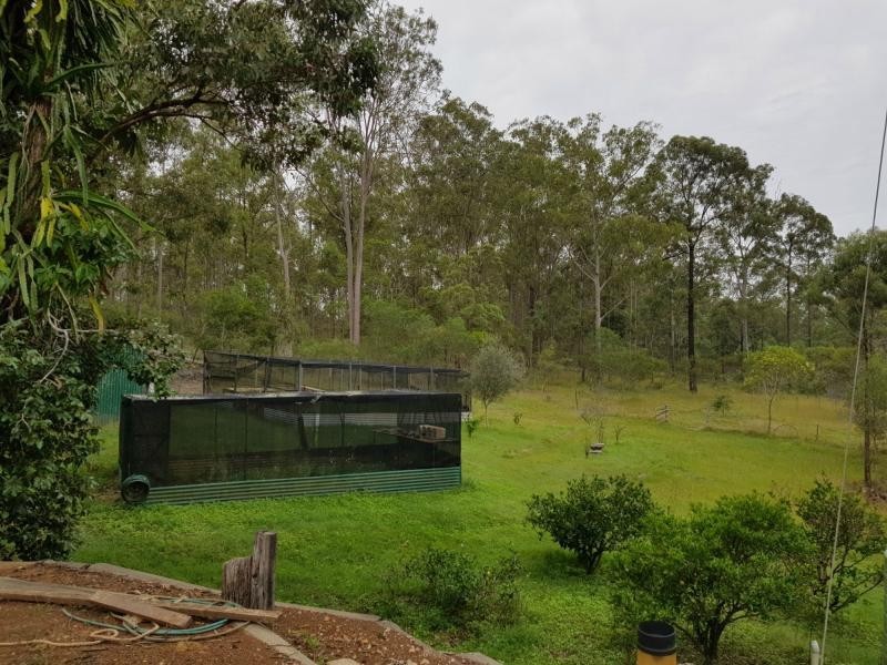 Apple Tree Creek QLD 4660