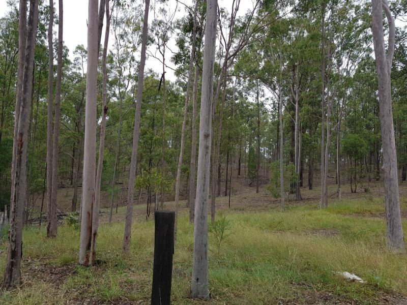 Apple Tree Creek QLD 4660