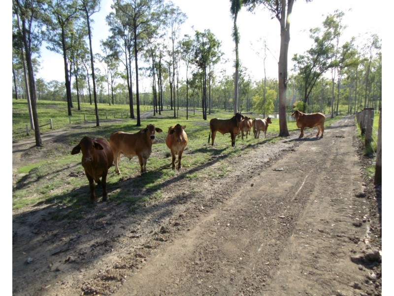 253 Hodges Road, Cordalba QLD 4660