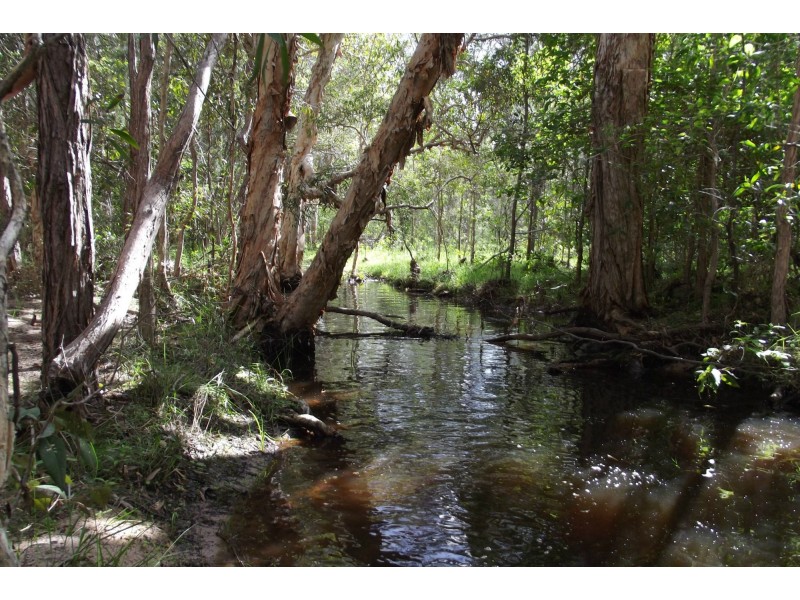 104 Guppys Road, Eureka QLD 4660