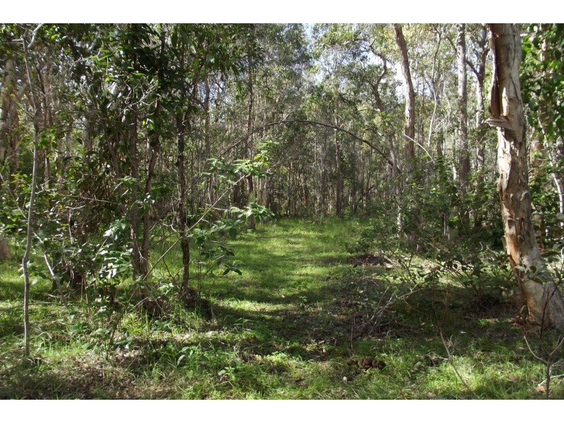 104 Guppys Road, Eureka QLD 4660