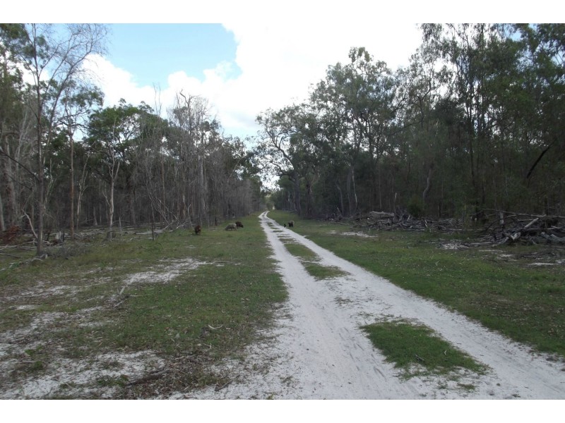 104 Guppys Road, Eureka QLD 4660