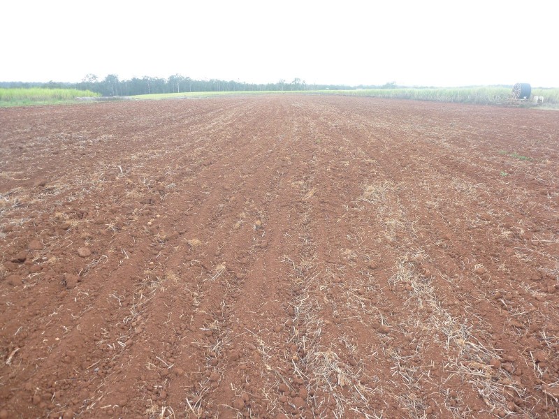 398 North Isis Road, North Isis QLD 4660