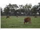 27553 Bruce Highway, Childers QLD 4660