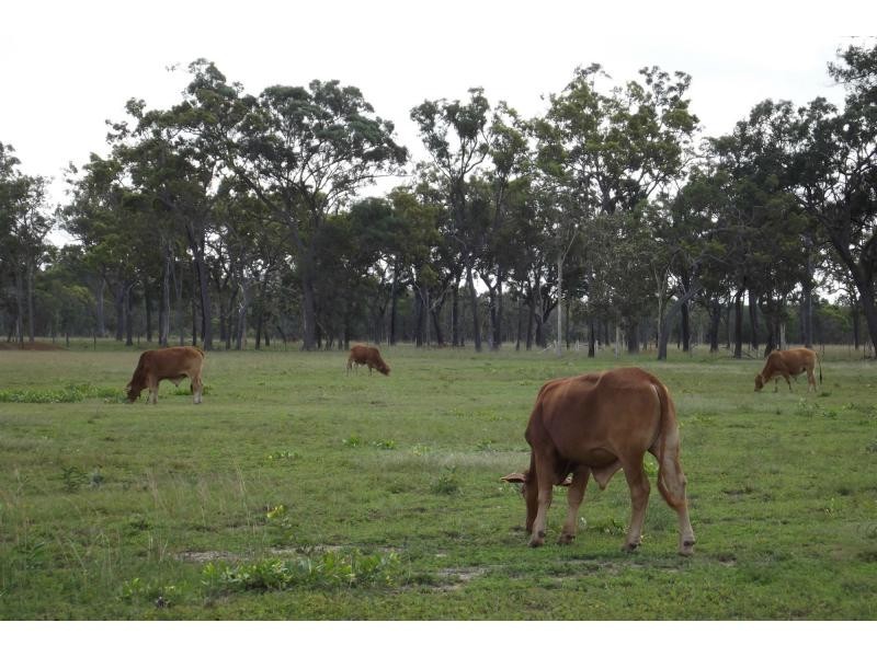 27553 Bruce Highway, Childers QLD 4660