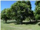 237 Koolboo Road, South Kolan QLD 4670
