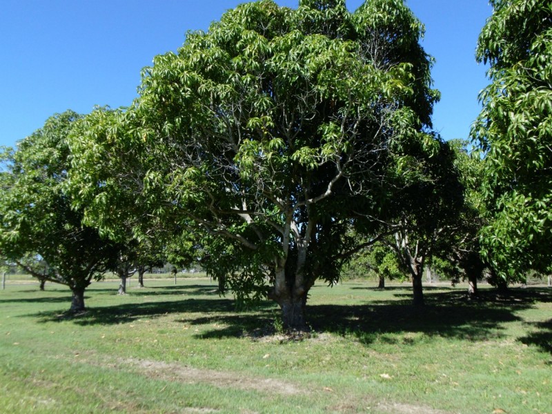 237 Koolboo Road, South Kolan QLD 4670