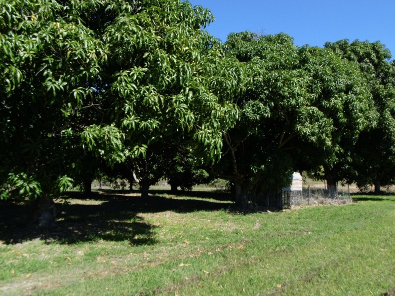 237 Koolboo Road, South Kolan QLD 4670