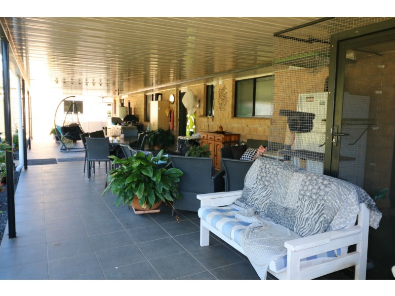 113 Park Avenue, North Isis QLD 4660