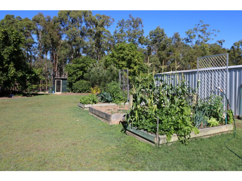 113 Park Avenue, North Isis QLD 4660