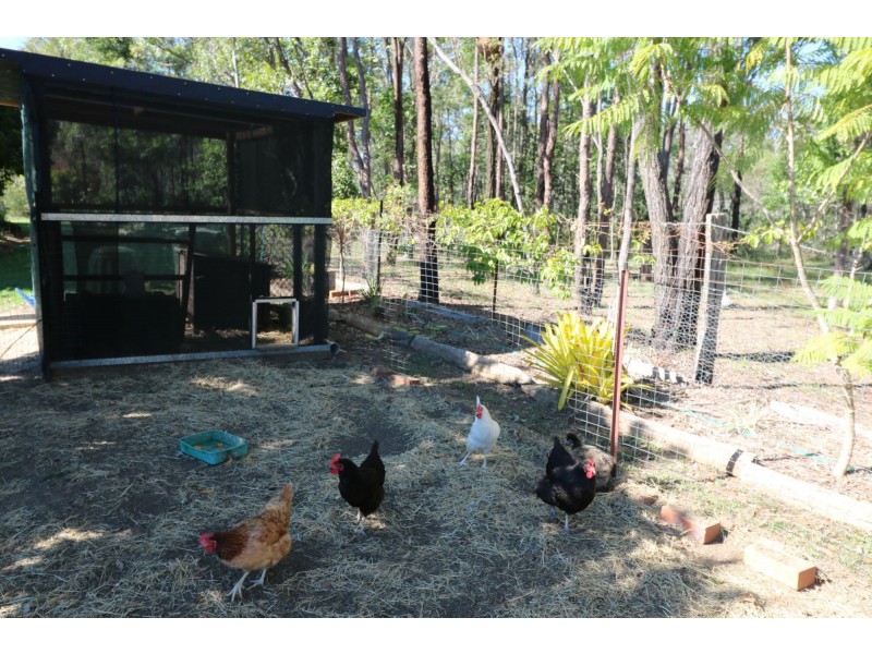 113 Park Avenue, North Isis QLD 4660