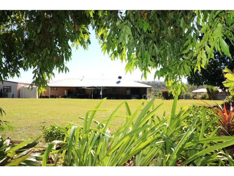 113 Park Avenue, North Isis QLD 4660