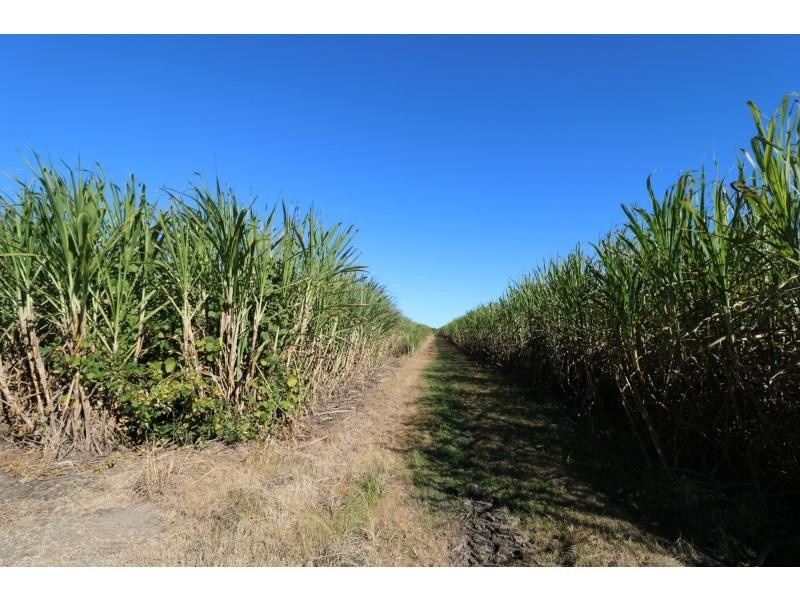 423 Sims Road, Childers, Redridge QLD 4660