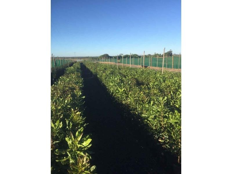 423 Sims Road, Childers, Redridge QLD 4660