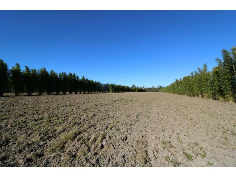 423 Sims Road, Childers, Redridge QLD 4660