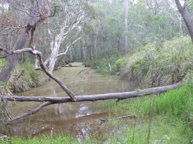 423 Sims Road, Childers, Redridge QLD 4660