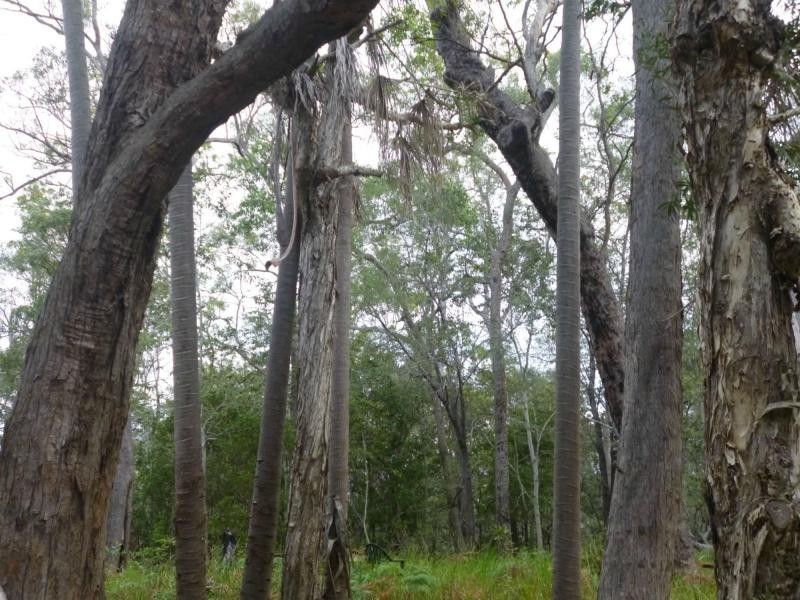 423 Sims Road, Childers, Redridge QLD 4660