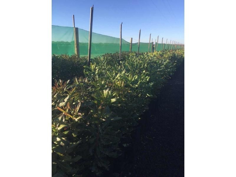 423 Sims Road, Childers, Redridge QLD 4660