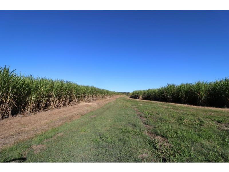 423 Sims Road, Childers, Redridge QLD 4660