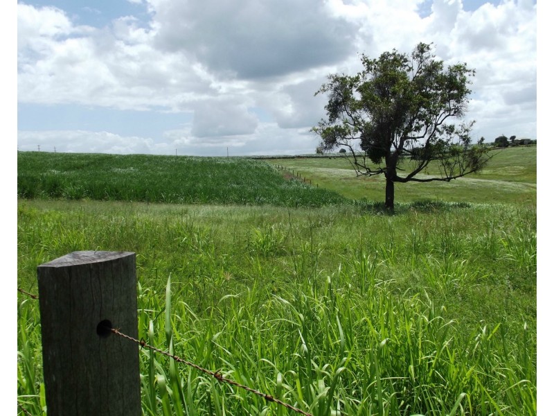 Lot 2, 7 Cooks Road, South Isis QLD 4660