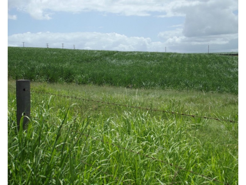Lot 2, 7 Cooks Road, South Isis QLD 4660