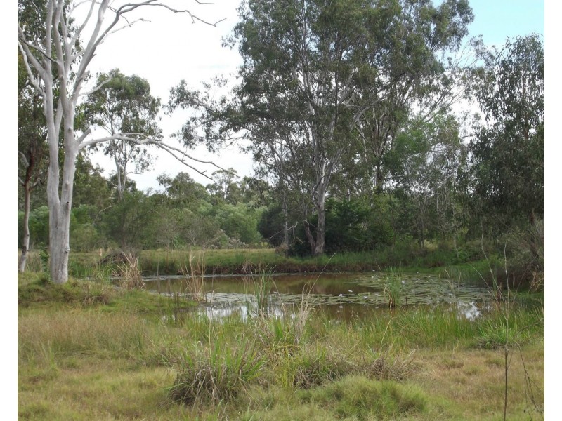 Lot 31 Whitebridge Road, North Isis QLD 4660