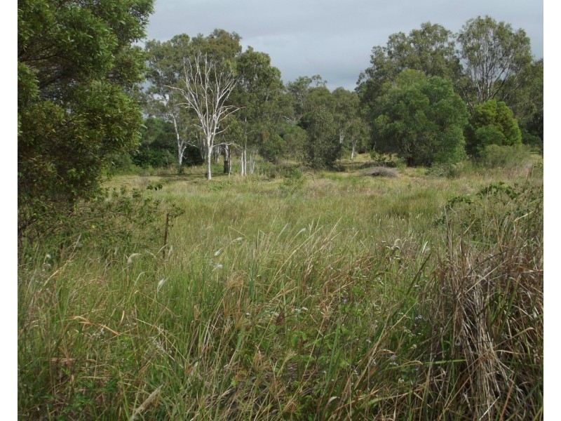 Lot 31 Whitebridge Road, North Isis QLD 4660