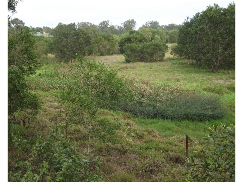 Lot 31 Whitebridge Road, North Isis QLD 4660